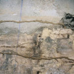  Cordonnet de termites sur un mur