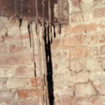 Présence de termites dans un mur en brique